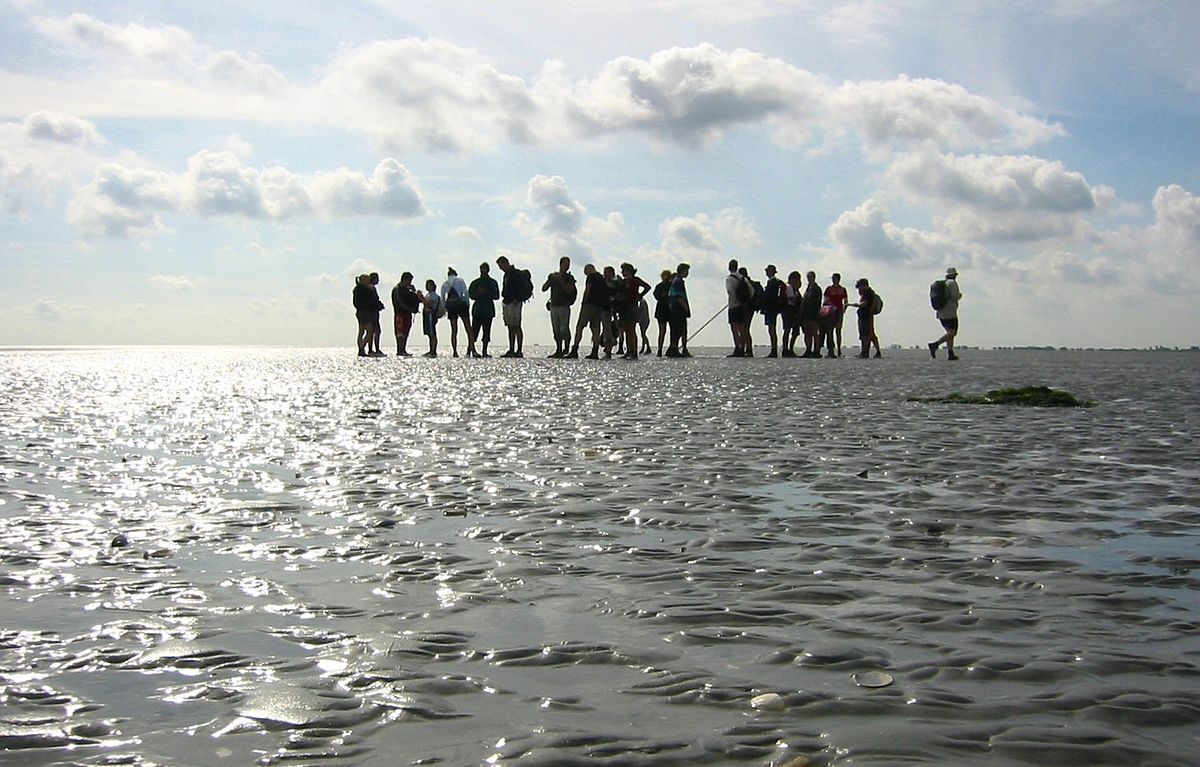 Wadlopen